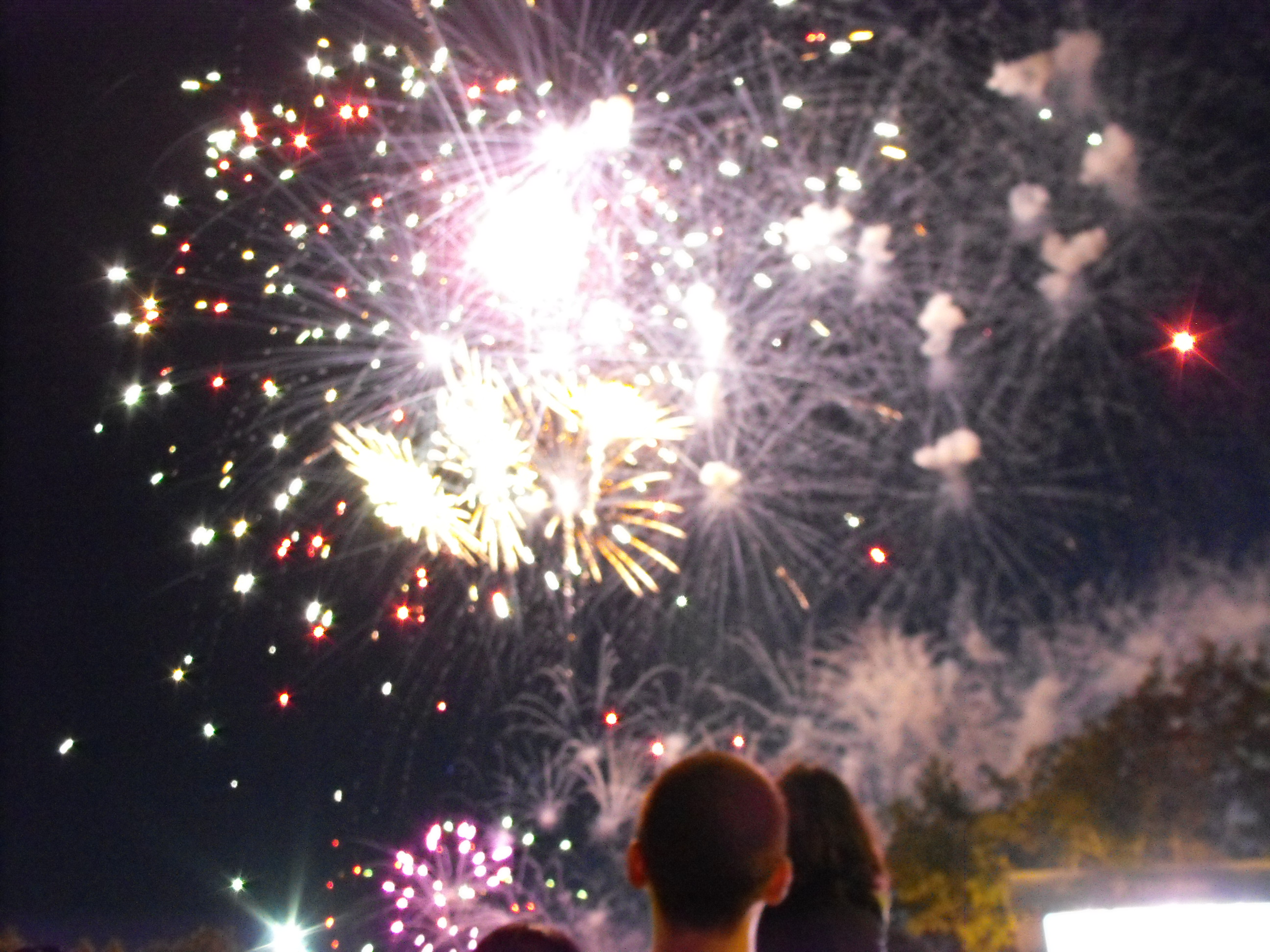 ./2010/Fourth of July/4th July Fireworks Wilm 0005.JPG